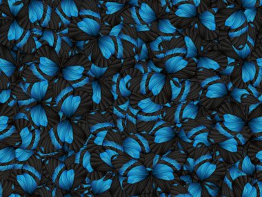 Çok farklı butterflys ile Seamless Modeli