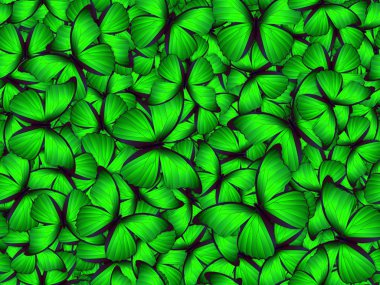 Çok farklı butterflys ile Seamless Modeli