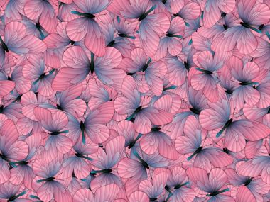 Çok farklı butterflys ile Seamless Modeli