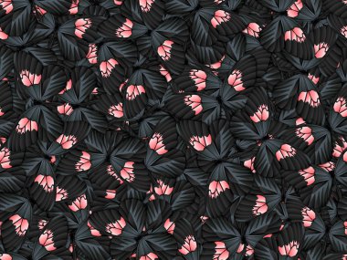 Çok farklı butterflys ile Seamless Modeli