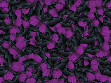 Çok farklı butterflys ile Seamless Modeli