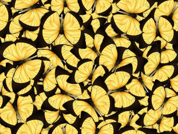 Seamless pattern with lot of different butterflys — Stock Photo, Image