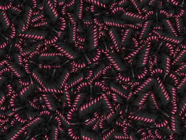 Çok farklı butterflys ile Seamless Modeli