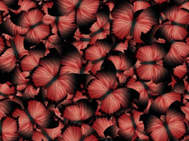 Çok farklı butterflys ile Seamless Modeli