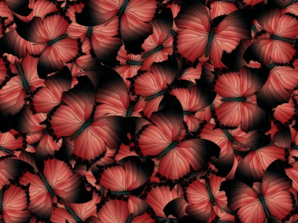 Çok farklı butterflys ile Seamless Modeli