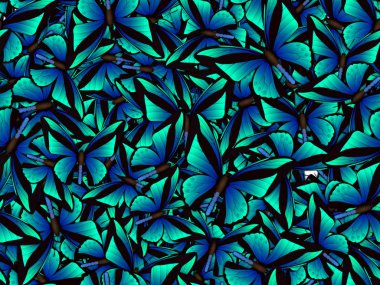 Çok farklı butterflys ile Seamless Modeli