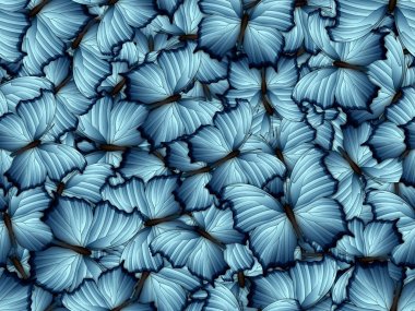 Çok farklı butterflys ile Seamless Modeli