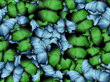 Çok farklı butterflys ile Seamless Modeli