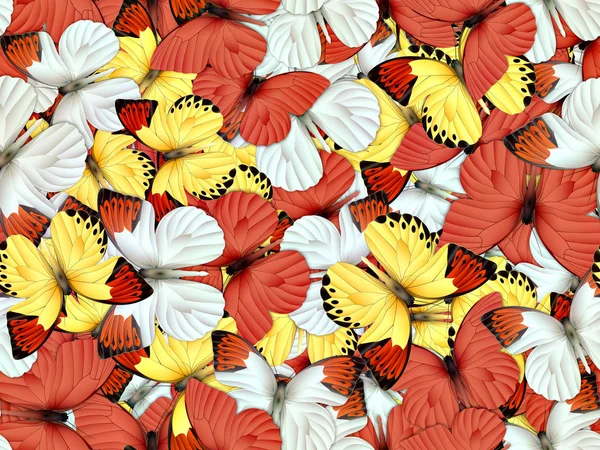 Padrão sem costura com muitos borboletas diferentes — Fotografia de Stock