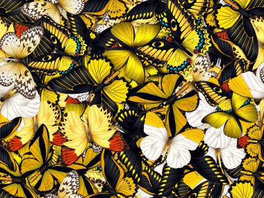 Çok farklı butterflys ile Seamless Modeli
