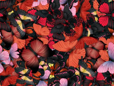 Çok farklı butterflys ile Seamless Modeli