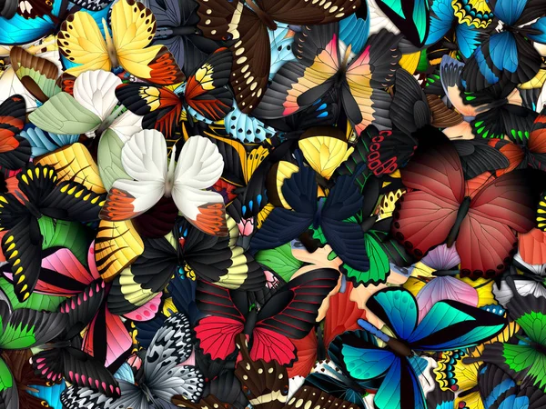 Çok farklı butterflys ile Seamless Modeli