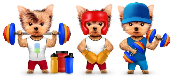 Komik köpek Spor beslenme ile shaker holding — Stok fotoğraf