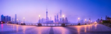 Shanghai manzarası cityscape