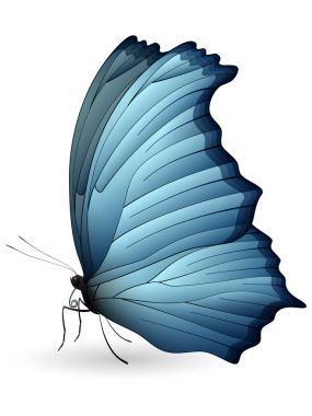 Beyaz arka planda izole edilmiş güzel kelebek.