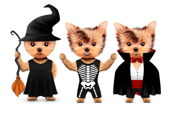 Dracula, devil and witch. Halloween and Dead day — Stock Photo, Image