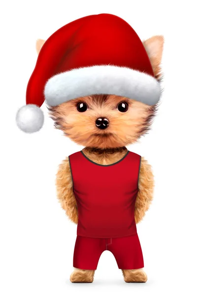滑稽的狗圣诞老人佩带帽子和服装 — 图库照片