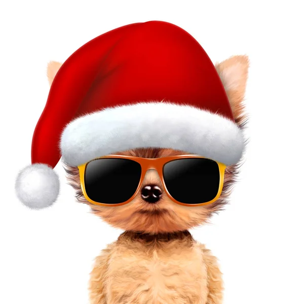 Lustiger Hund mit Weihnachtsmütze und Sonnenbrille — Stockfoto