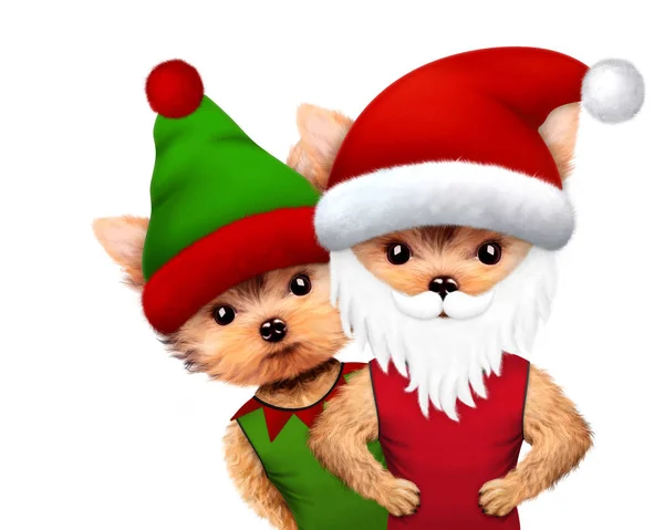 Funny pes Santa a Elf. Vánoční koncept — Stock fotografie