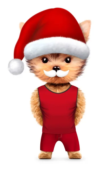 Αστεία Santa σκύλο με μουστάκι. Έννοια των Χριστουγέννων — Φωτογραφία Αρχείου