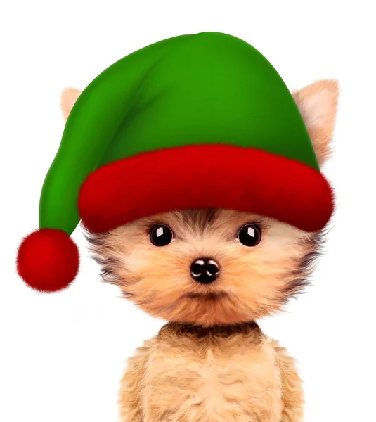 Divertido Perro Santas elfo con sombrero. Concepto de Navidad — Foto de Stock