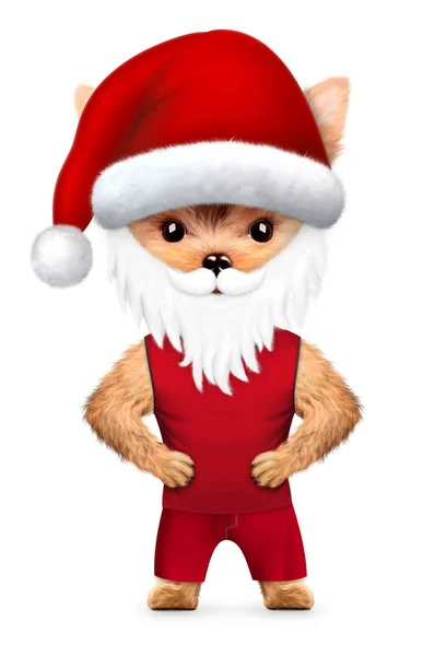 滑稽的狗圣诞老人与胡子。圣诞概念 — 图库照片