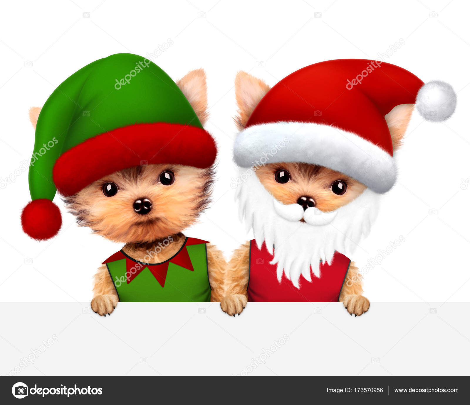 Funny Dog Santa And Elf Christmas Concept Stock Photo Funny Dog Santa And Elf Christmas Concept Stock Photo