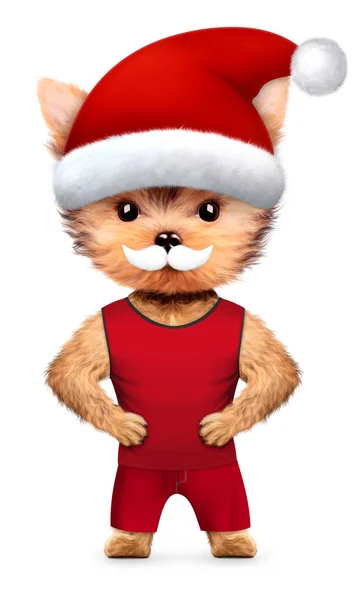 Cão engraçado Papai Noel com bigode. Conceito de Natal — Fotografia de Stock