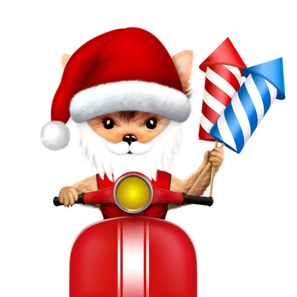 Cão Papai Noel em uma scooter com foguetes na mão — Fotografia de Stock