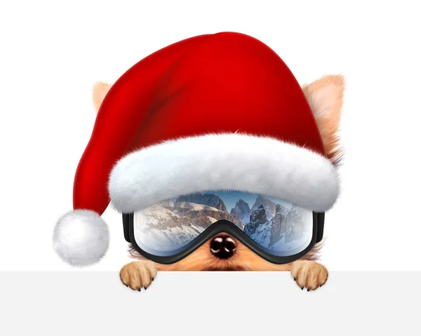 Perro gracioso con gafas de esquí. Concepto de Navidad — Foto de Stock