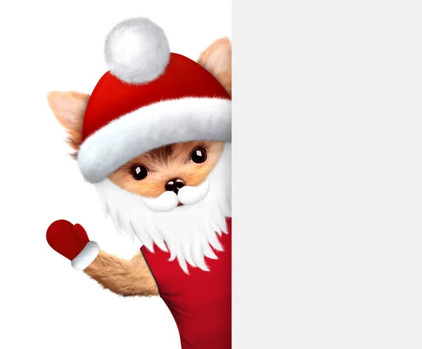 Lustiger Hund Weihnachtsmann mit Bart. Weihnachtskonzept — Stockfoto
