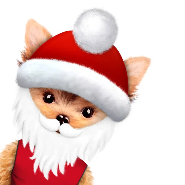 Αστεία Santa σκύλο με γενειάδα. Έννοια των Χριστουγέννων — Φωτογραφία Αρχείου