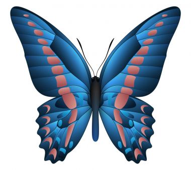 Beyaz arka planda izole edilmiş güzel kelebek.