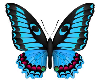 Beyaz arka planda izole edilmiş güzel kelebek.