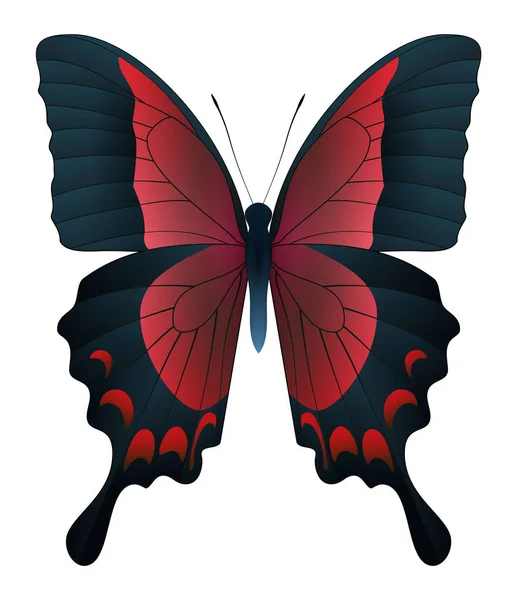 Hermosa mariposa aislada sobre un fondo blanco — Vector de stock