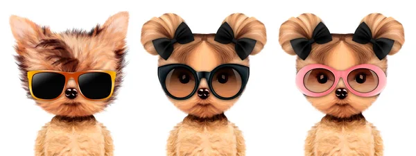 Divertido perrito adorable con gafas de sol de elegancia — Foto de Stock