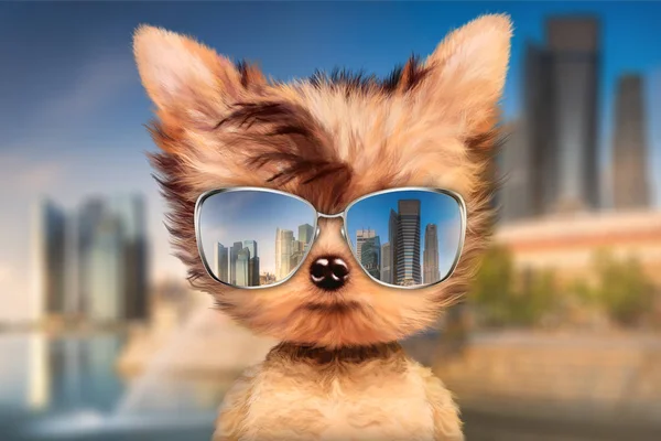 Perro en gafas de sol de pie en el fondo de viaje delantero — Foto de Stock