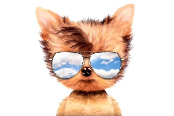 Hund mit Sonnenbrille isoliert auf weißem Hintergrund — Stockfoto