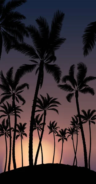 Tropikal hurma ile portakal Paz gün batımı ve mavi gök