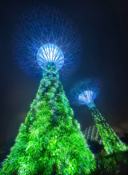 新加坡湾花园 Supertree 格罗夫 — 图库照片