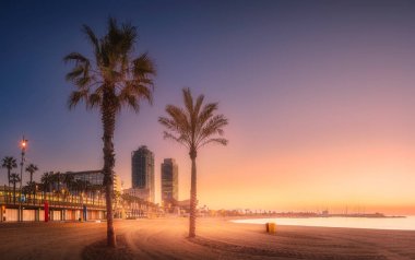 Dramatic sunrset on beach of Barcelona with palm clipart