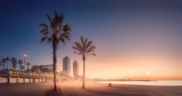 Tramonto arancione sulla spiaggia di Barcellona con palma — Foto Stock
