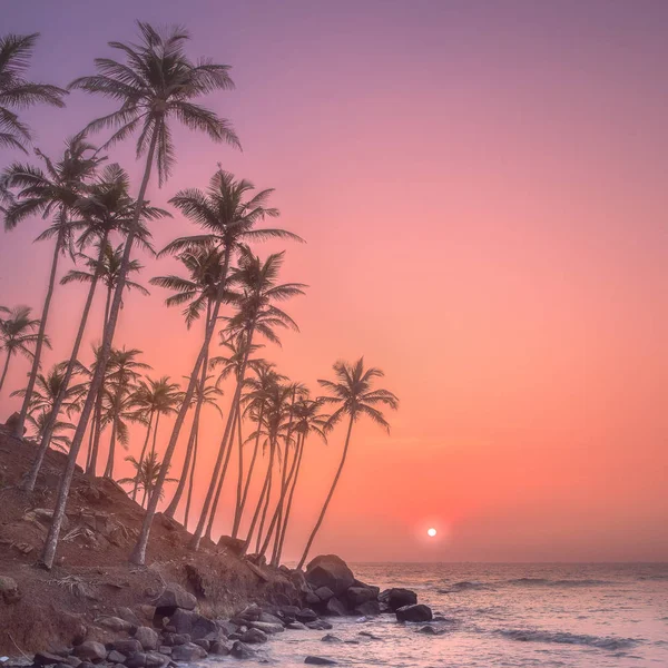 Silhouette of palm trees and shore during sunset — Stock Photo, Image