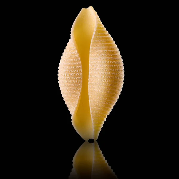 Makrofoto von conchiglie pasta shell isoliert auf schwarzem Hintergrund — Stockfoto