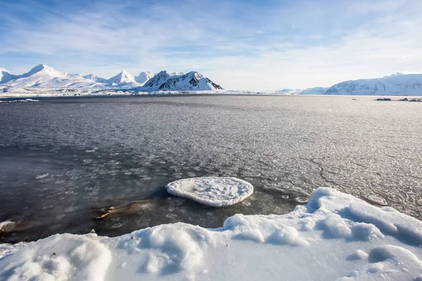 Buzlu Karlı Bir Manzaranın Muhteşem Bir Resmi — Stok fotoğraf