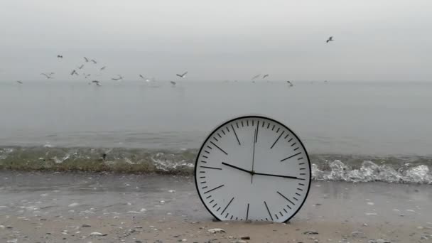 Концепция времени, морские чайки в небе, часы в воде на песчаном берегу океана — стоковое видео