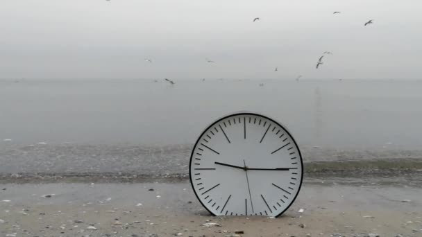 时间概念背景, 墙壁时钟在沙子, 飞行海鸥 — 图库视频影像