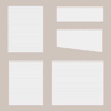 Not kağıdı, defter sayfası delikleri ile boş. Vektör.