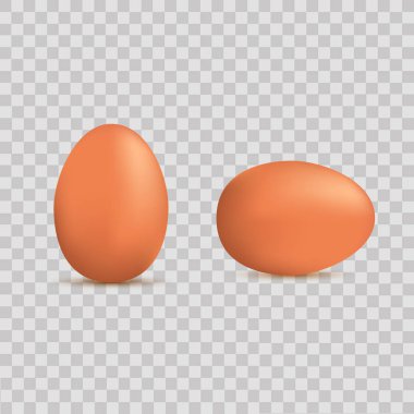 Saydam arka plan üstünde Paskalya yortusu için gerçekçi kahverengi yumurta. Vektör.