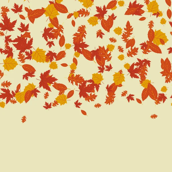 Herfst frame met bladeren. Vector. — Stockvector